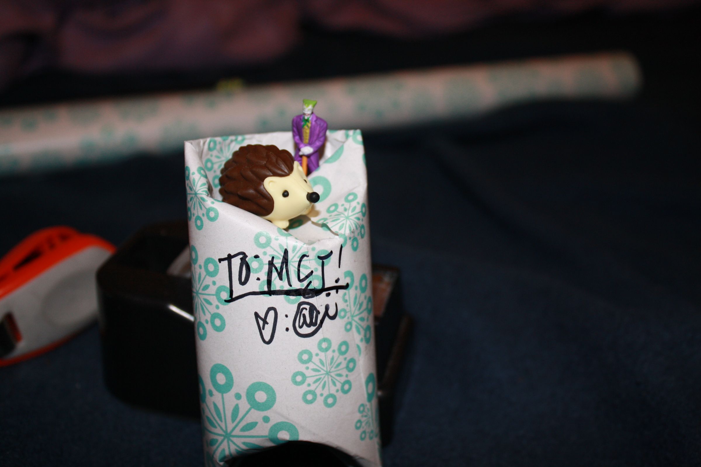 Upcycled Cardboard TP Rolls.