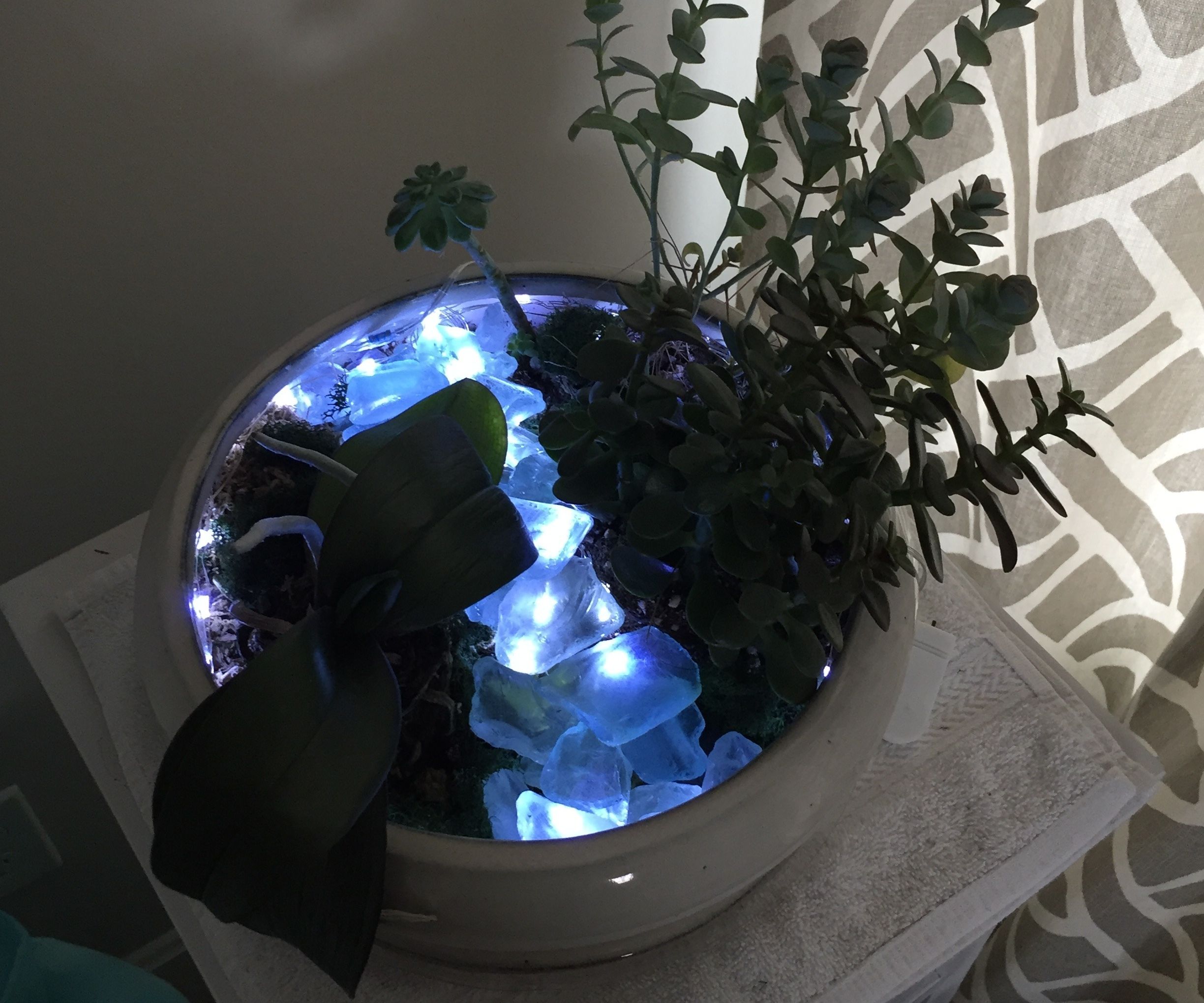 LED Light Up Garden