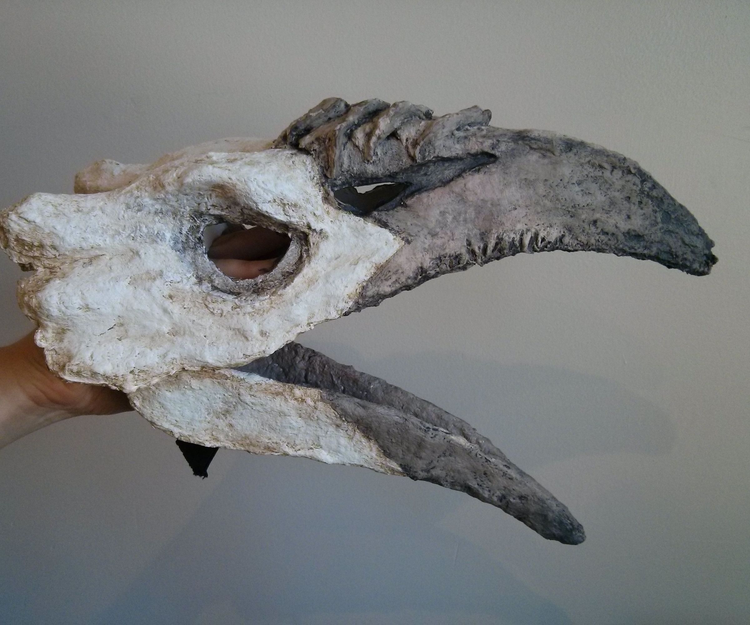 Bird skull puppet