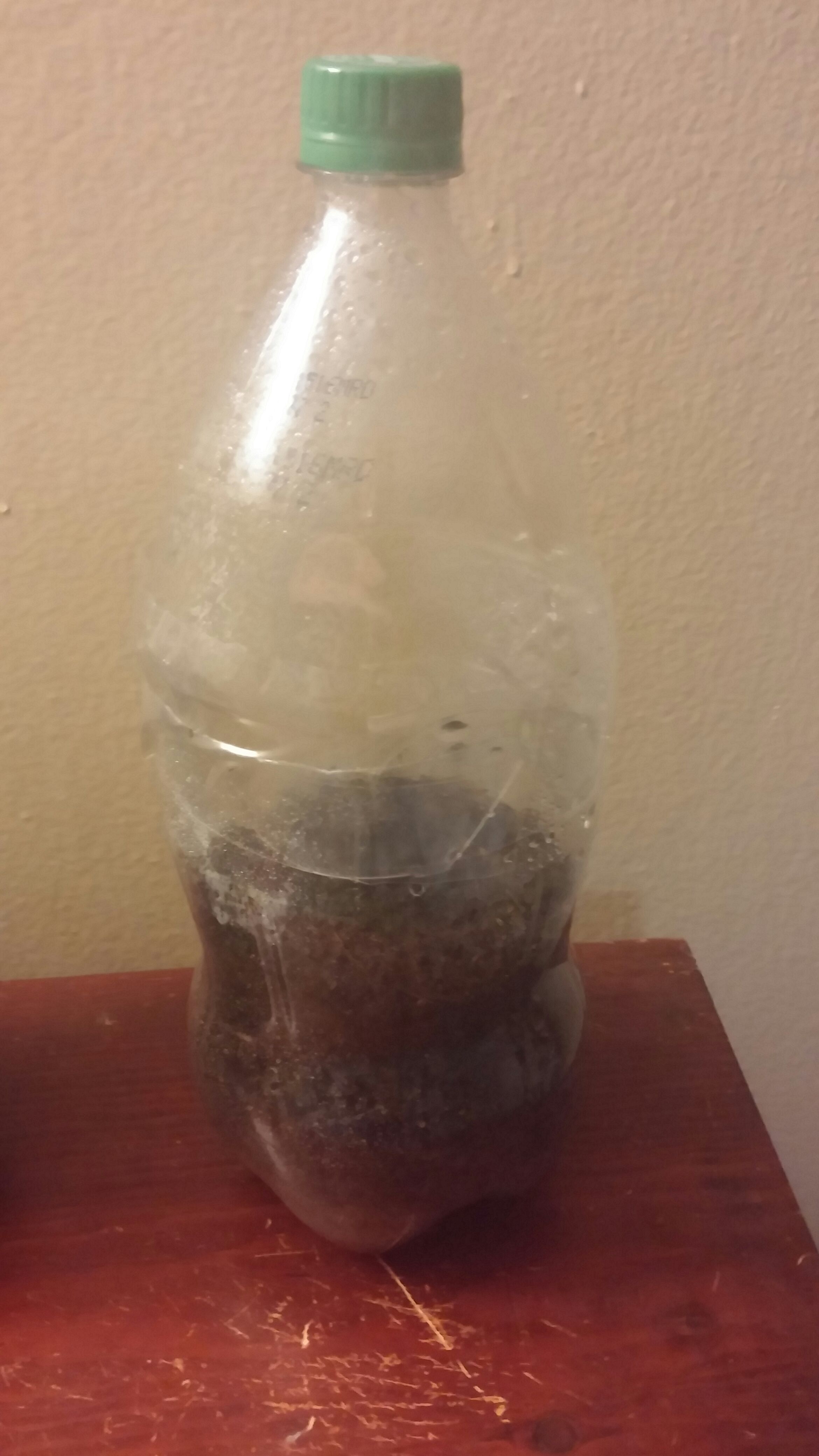 Tiny Greenhouses From Coke Bottles 9 Steps Instructables