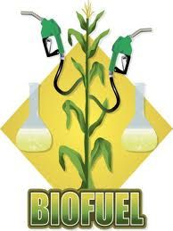 SOLAMON ALTERNATIVE ENERGY - Tumblr Page