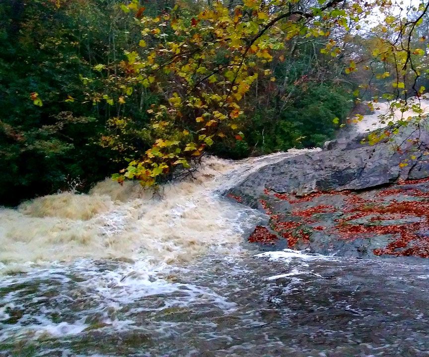 Water Walks for Mind and Fitness
