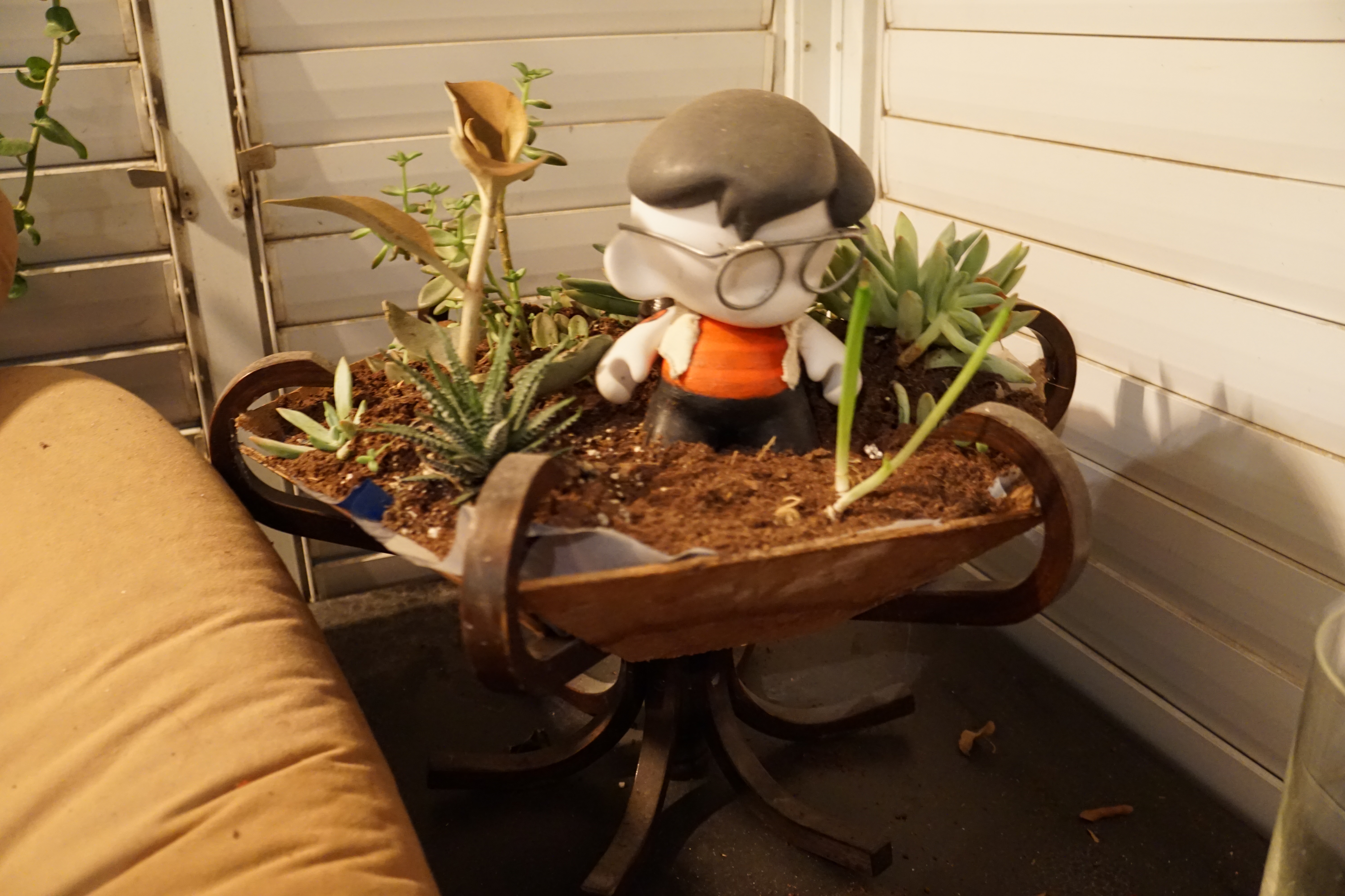 Coat Rack to Cactus Garden (with Pictures) Instructables