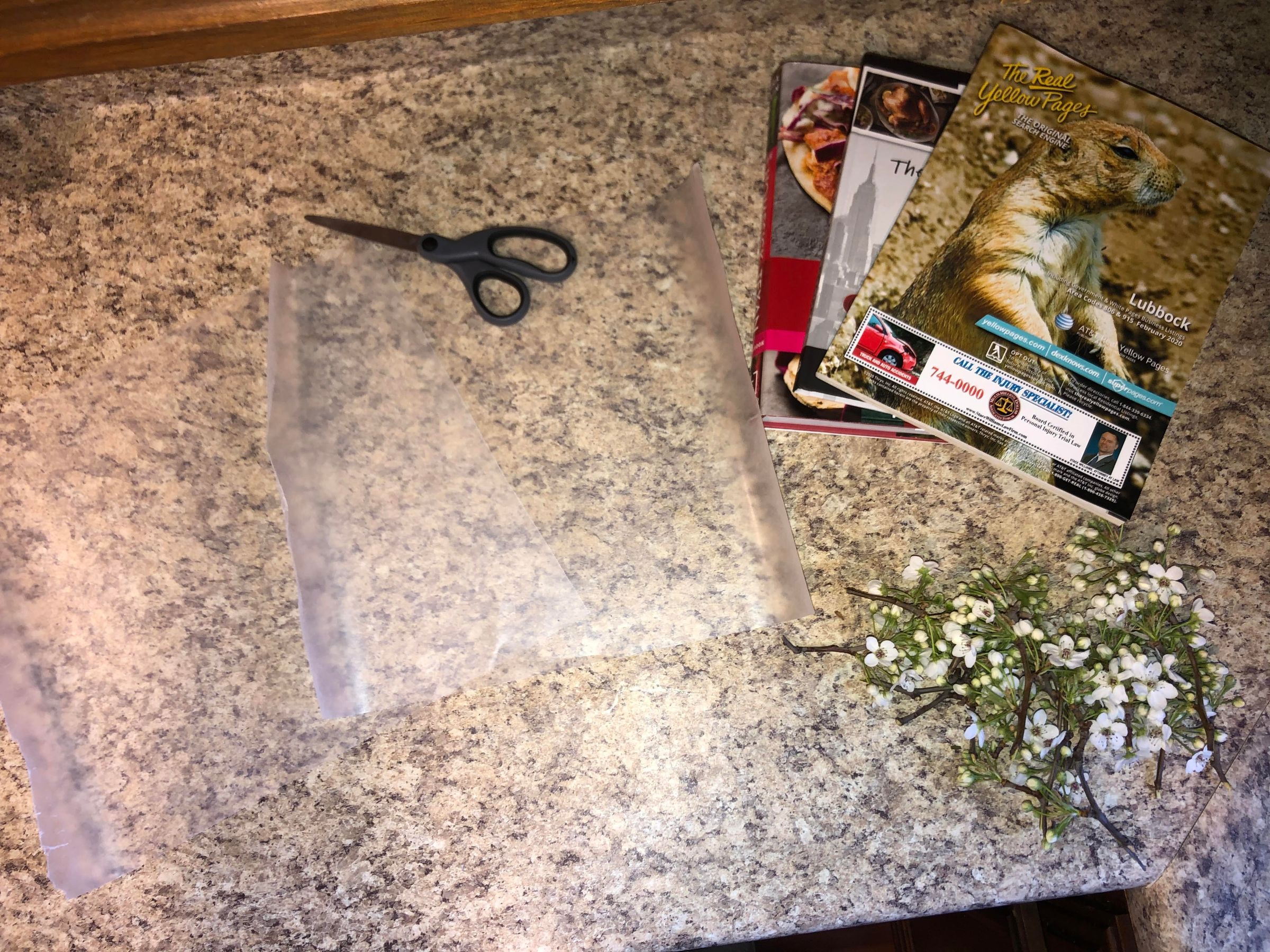 How to Press Flowers in a Book 16 Steps Instructables