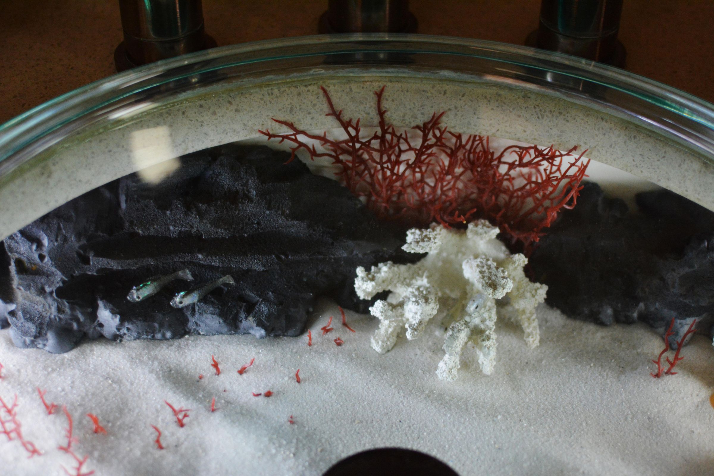 Faux Aquarium Sink 5 Steps (with Pictures) Instructables