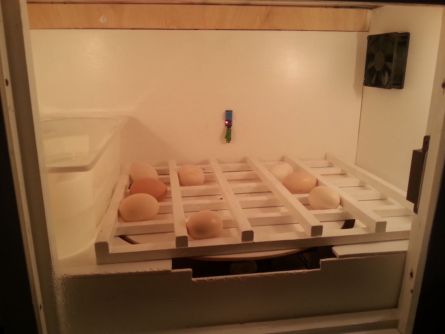 IncubatDuino Eggs 3 Steps Instructables