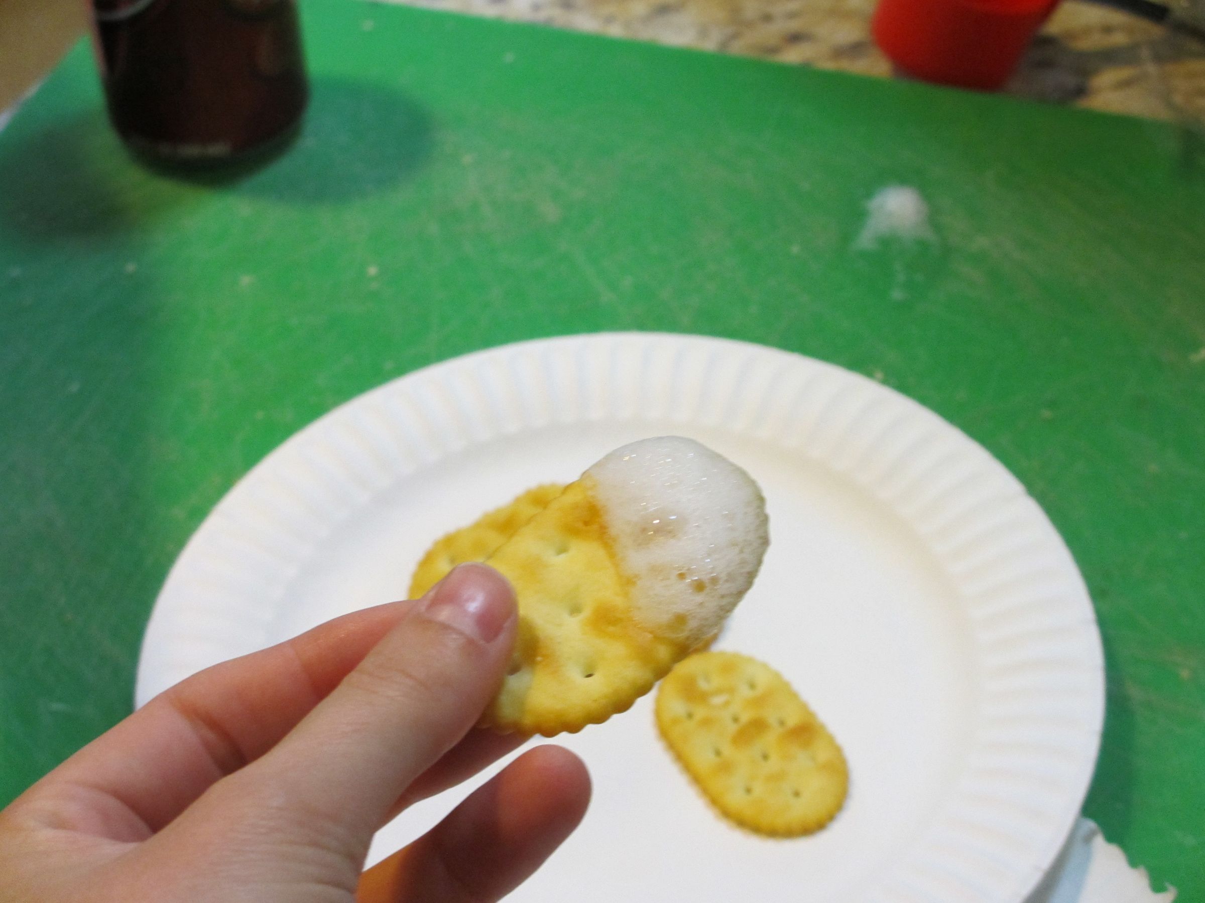 Garlic Foam