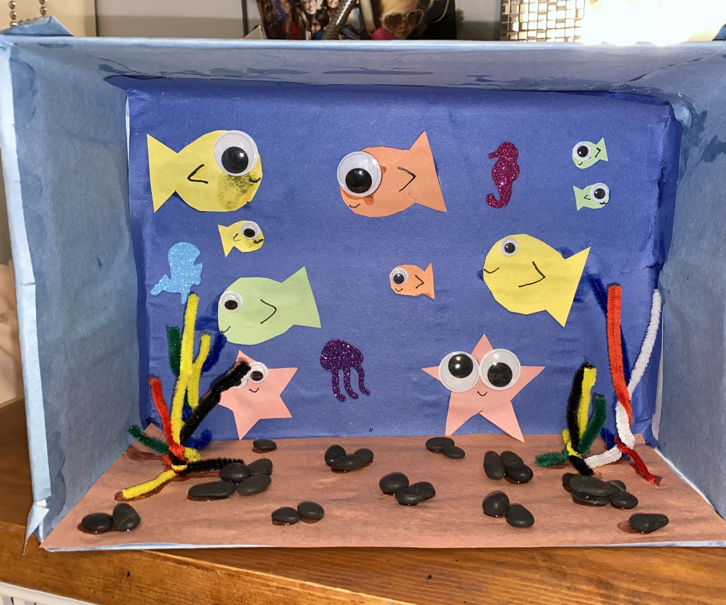 The Shoebox Aquarium