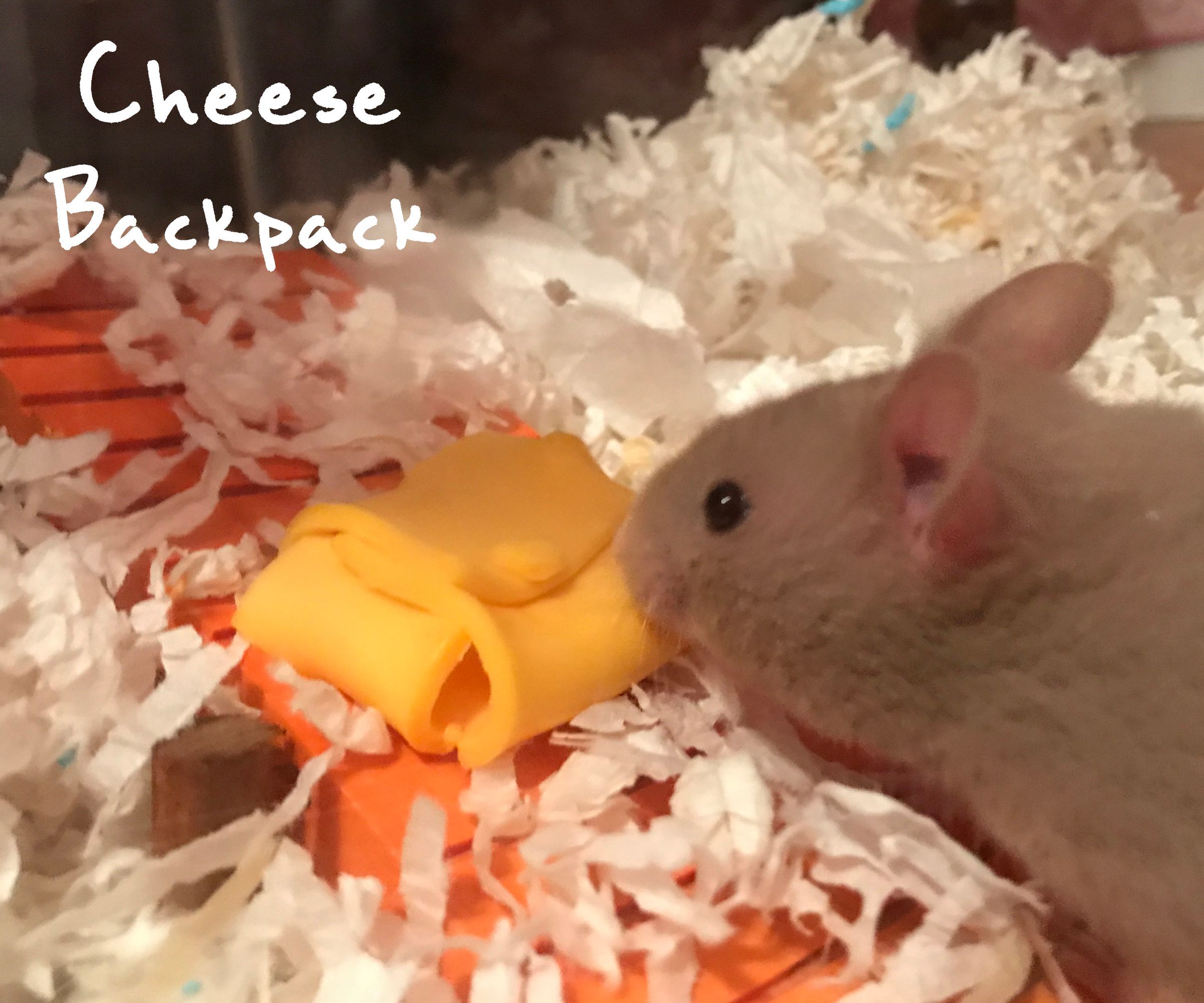 Cheese Backpack