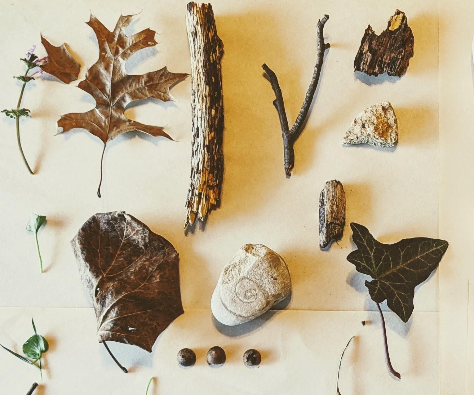 Printmaking With Nature