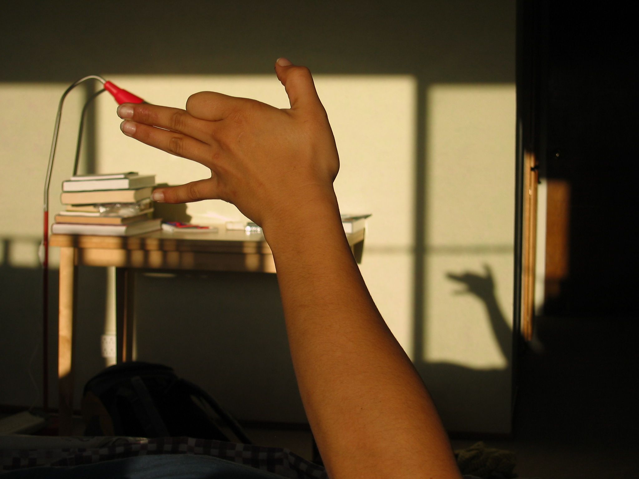 Basic Shadow Puppets