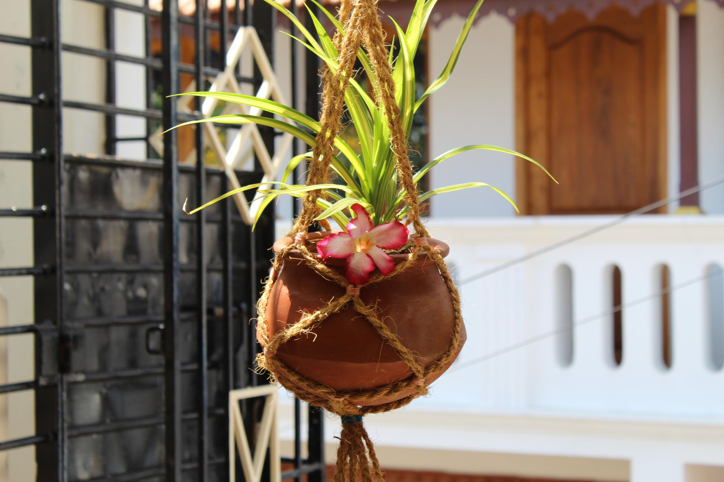 DIY Jute Rope Plant Hanger 6 Steps (with Pictures) Instructables