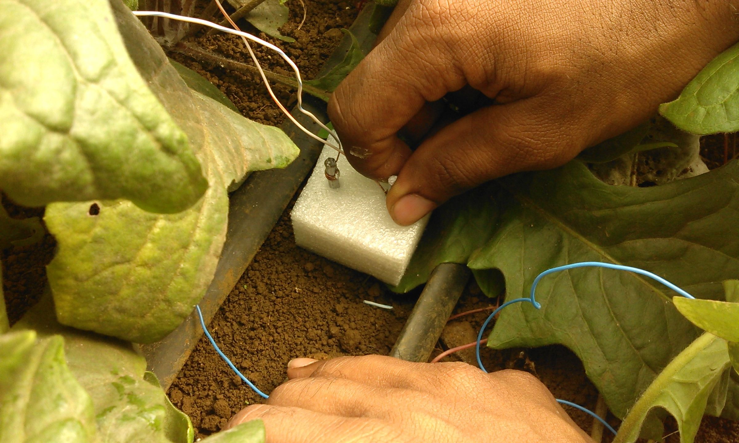 Multi-DIY Humidity Sensor + Irrigating System : 4 Steps - Instructables