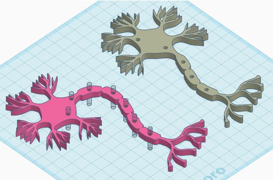 Neuron Mini Project Neuron Project