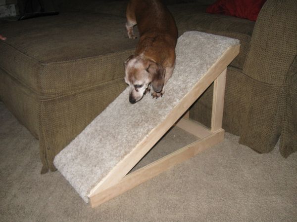 Pet Ramp
