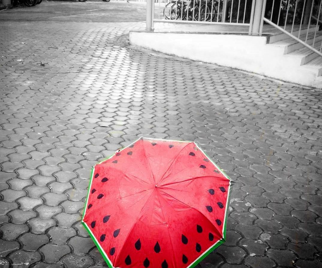 Gift a hand-painted watermelon umbrella!