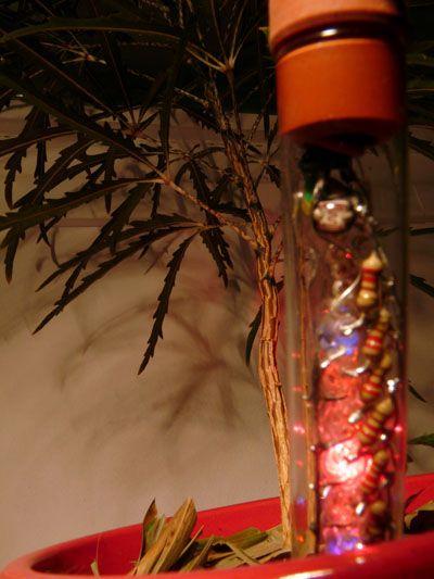 DIY #3 Light My Seeds - LEDS for your plants