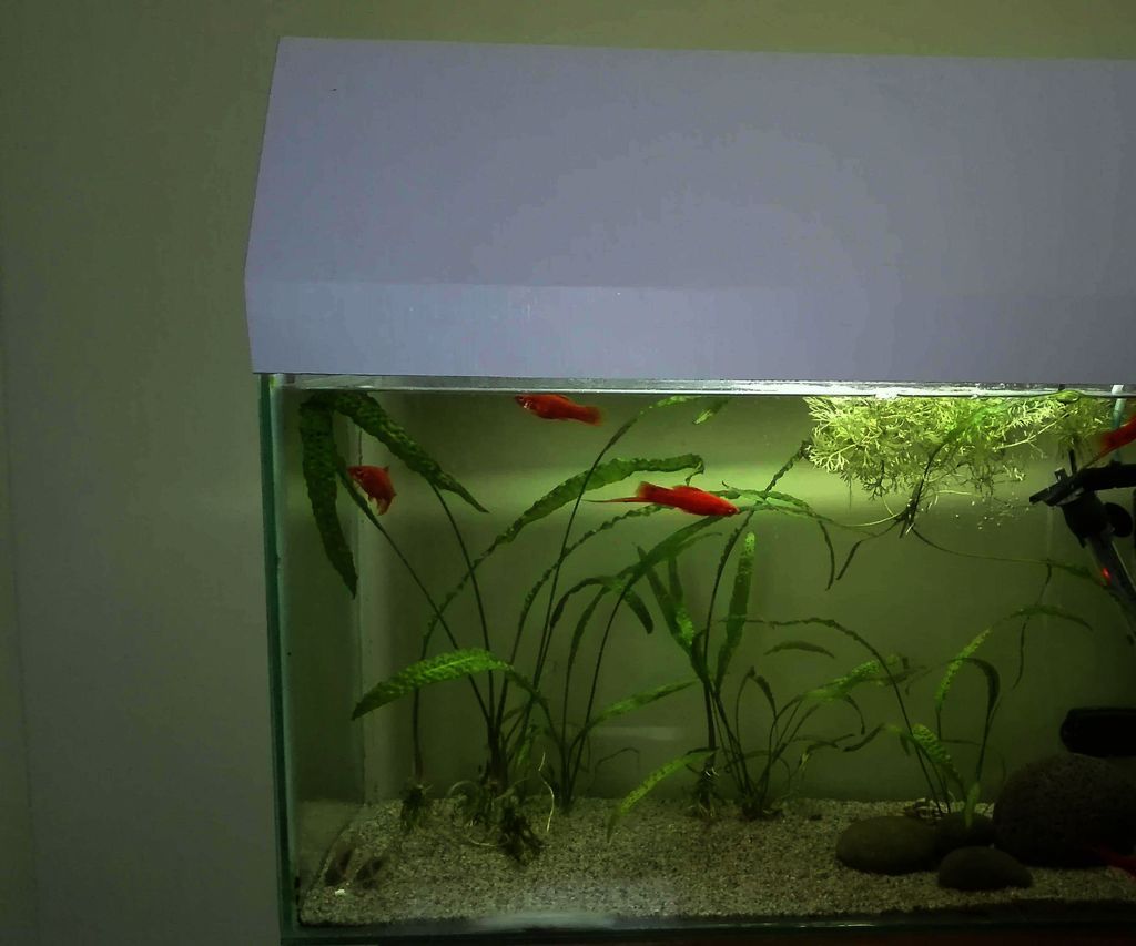 Cover for Aquarium 6 Steps Instructables