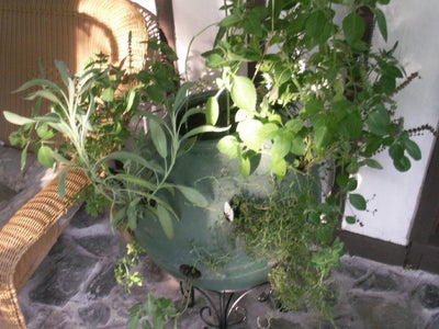 Step Four: Shelfing / Planters