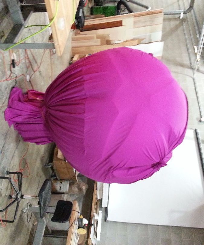 Cell phone controlled Linear Actuators