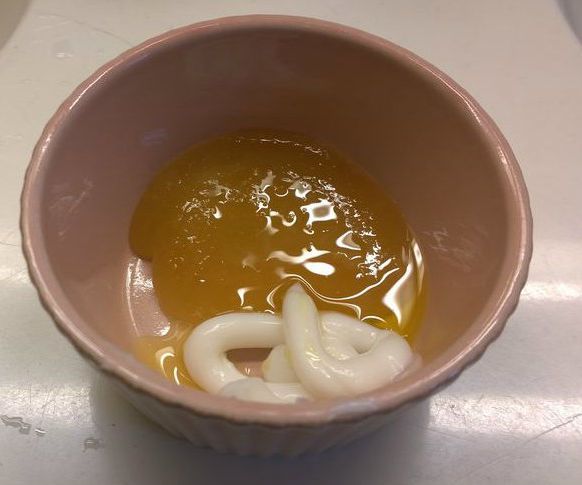 Homemade Honey Hair Mask