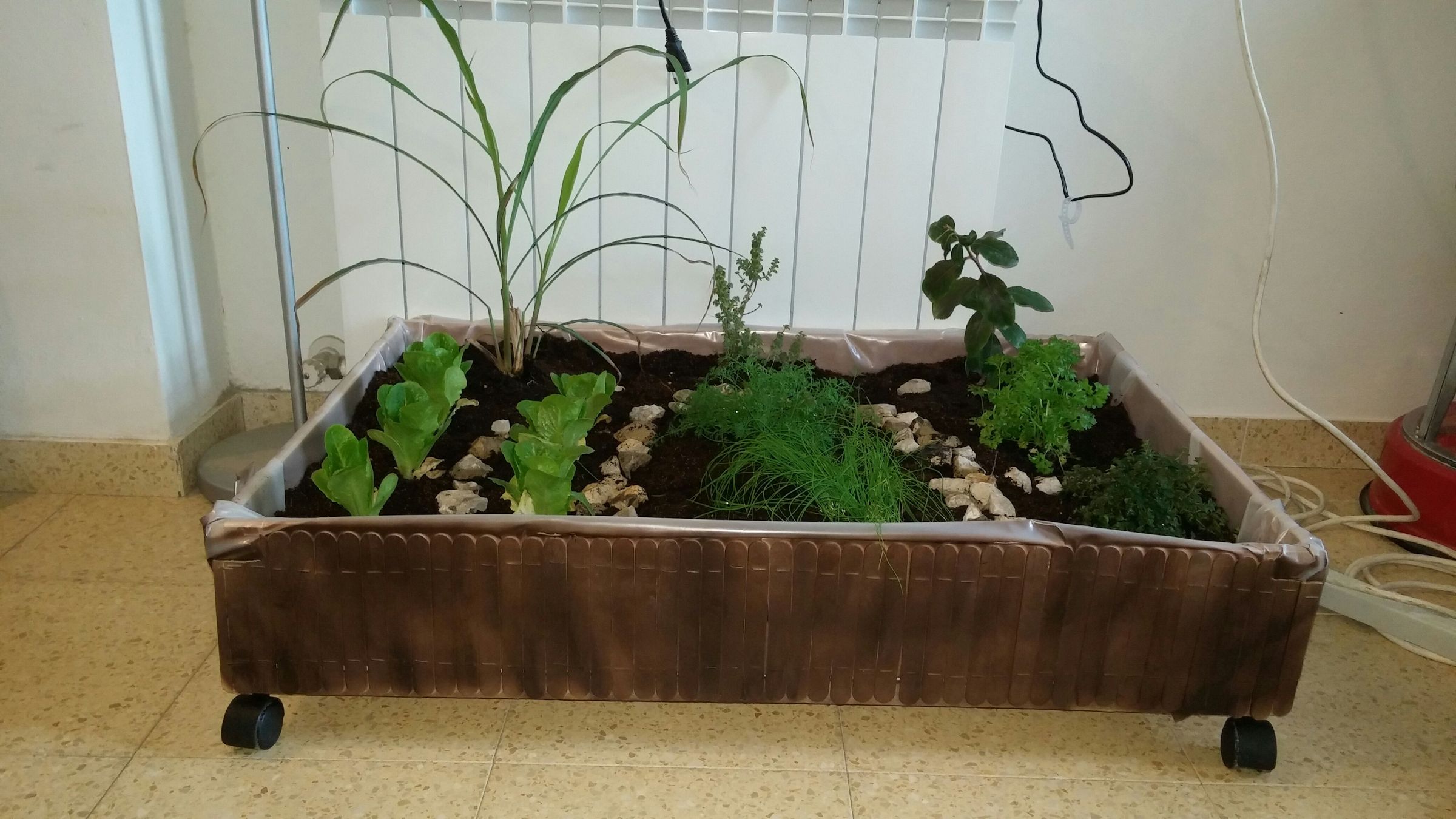 Indoor Garden