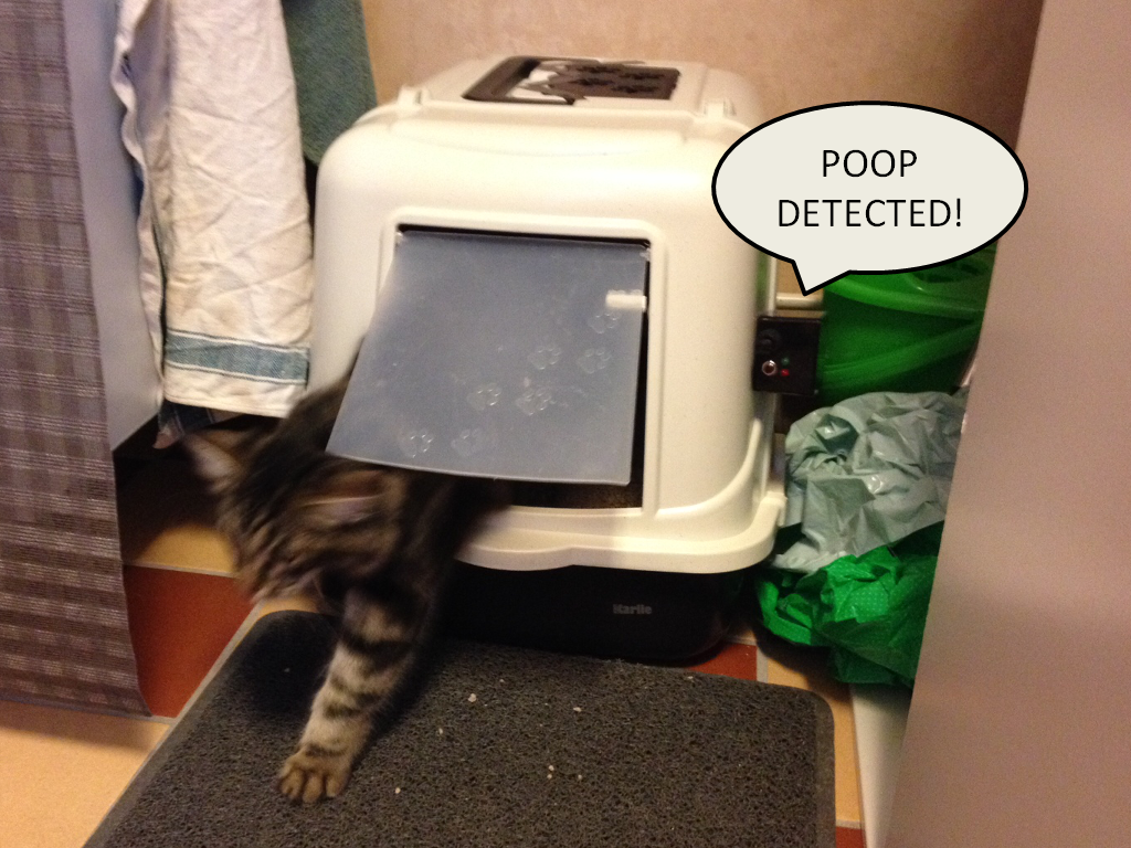 Litter Box Poop Detector