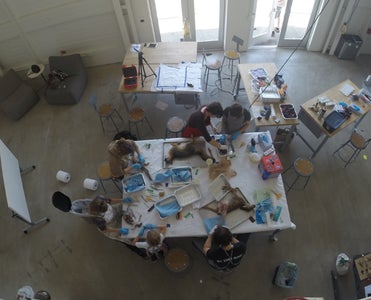 Have (what Some Might See As) Questionable Interests.