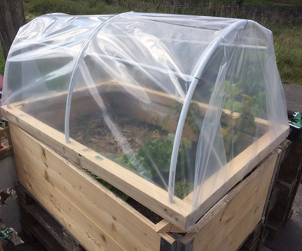 Small Greenhouse for Plantations on Euro Pallets