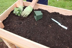 Fill With Dirt and Plant