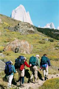 Collection Cover Image: Mini Survival Kits