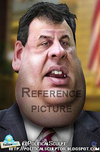 Gather Reference Pictures and 3d Model