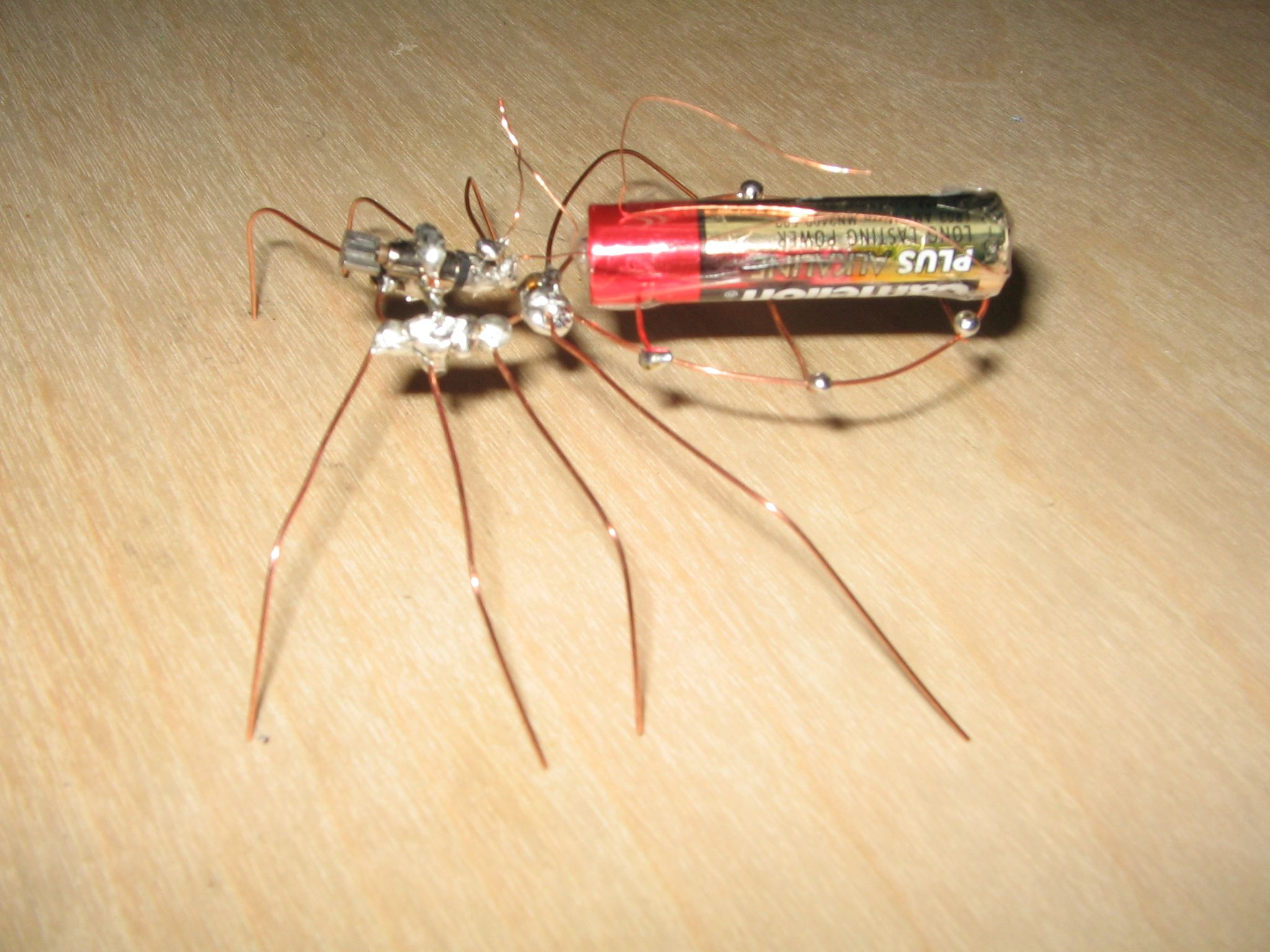 Cool Spiders