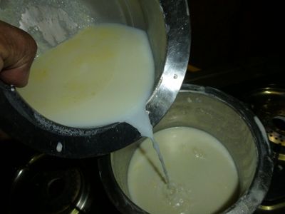 Make Curd With Leftover Milk