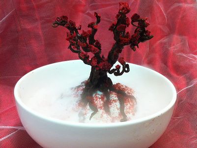 Chocolate Raspberry Tree