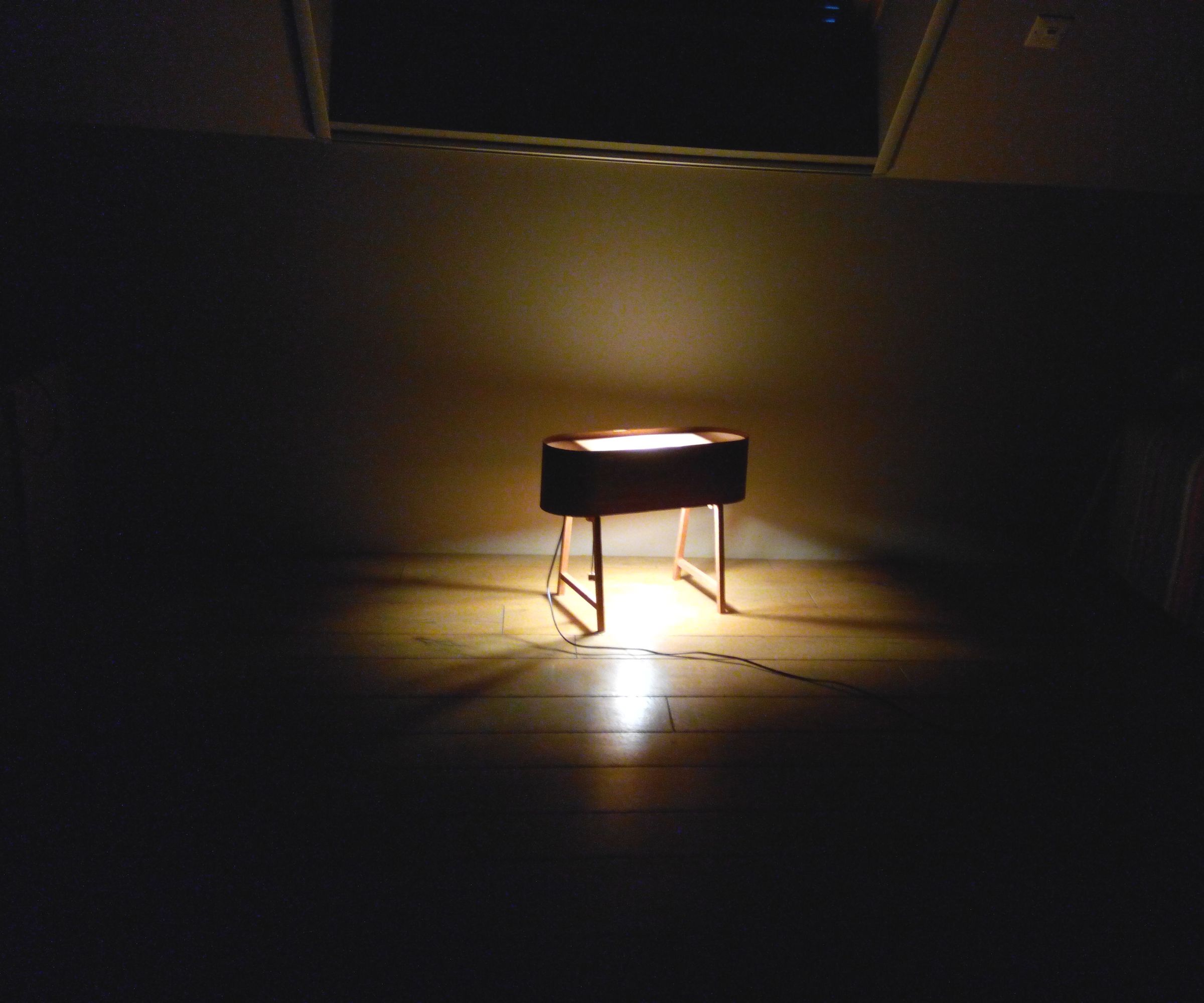 Veneer Lamp 