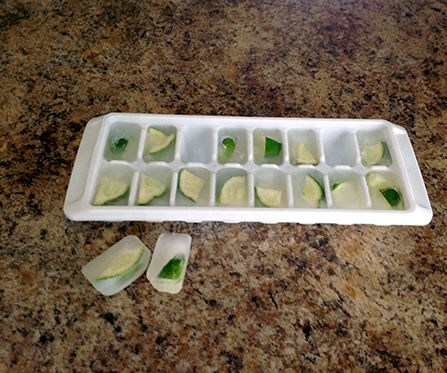 DIY Homemade Garbage Disposal Cleaner