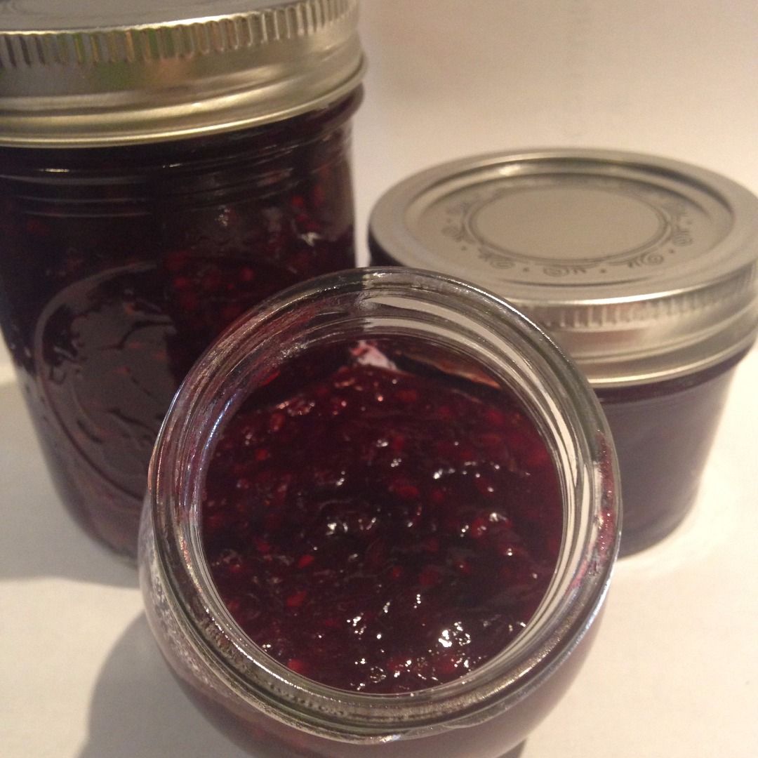 Blackberry Quick Jam 4 Steps (with Pictures) Instructables