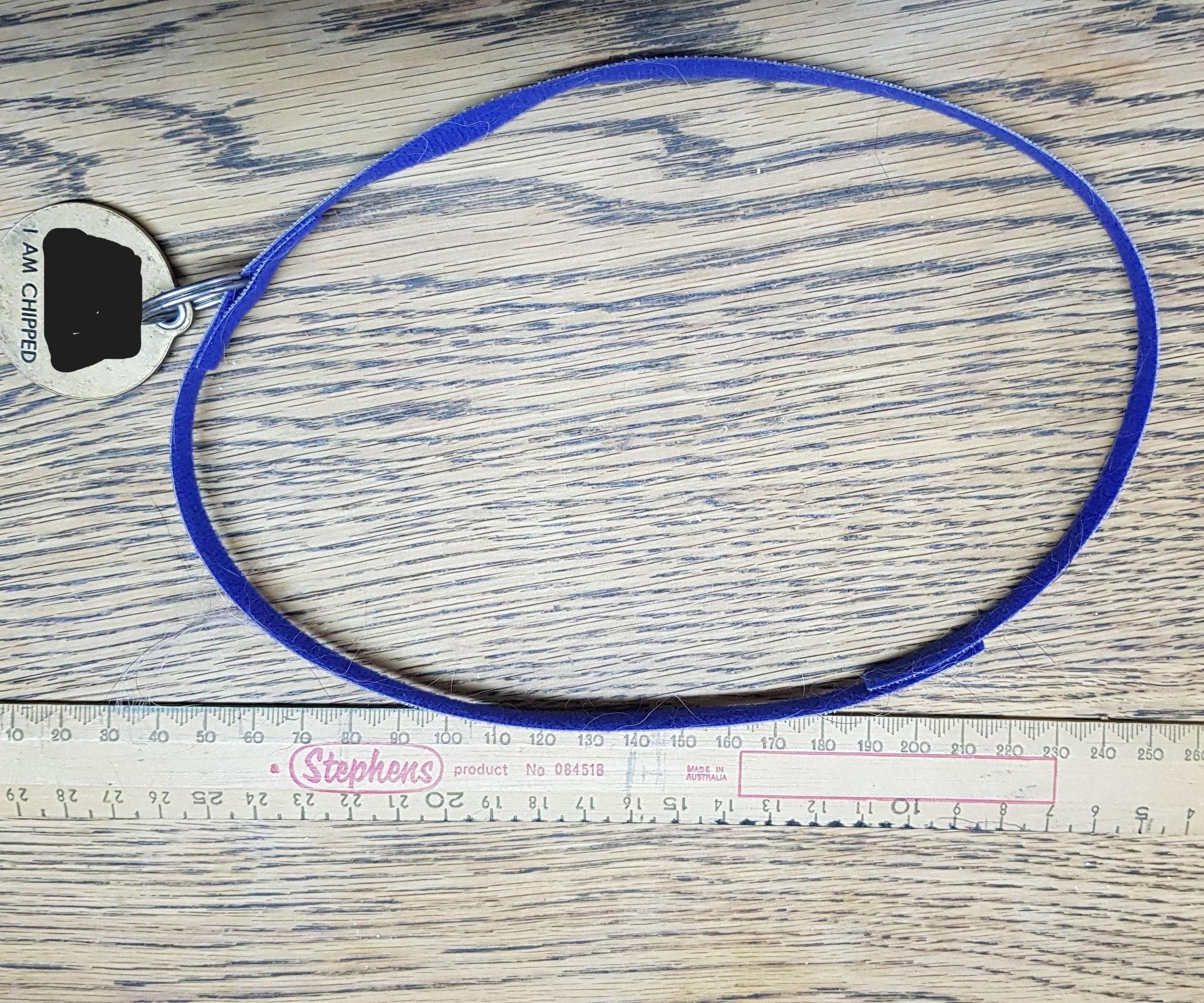Breakaway Dog Collar for Around the House (not for Lead Walking)