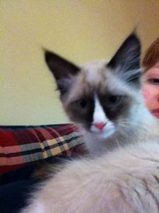 Minecraft Hunter Guide