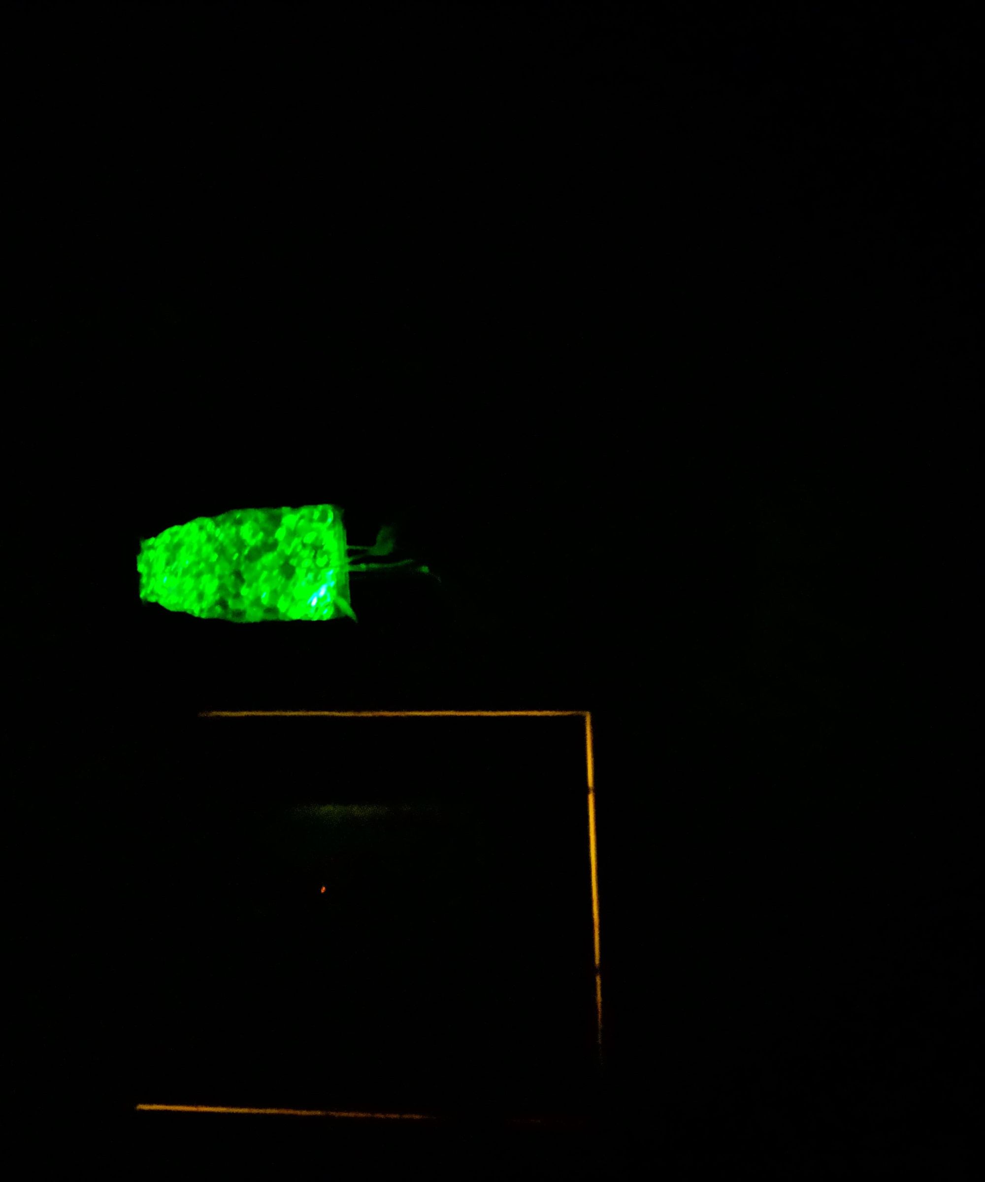 Alien-Glow House Plant Hanger