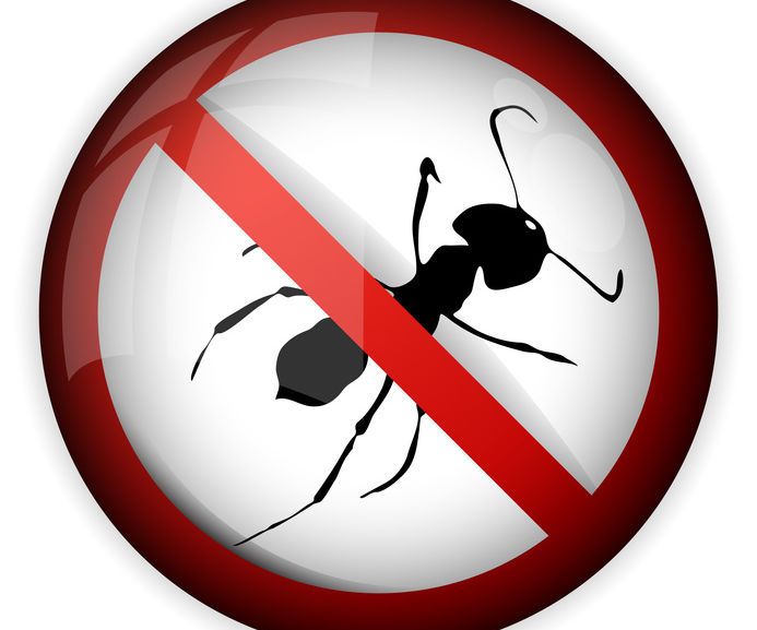 Ant Repellent ''Natural''  Method *you Need Just 10 Second