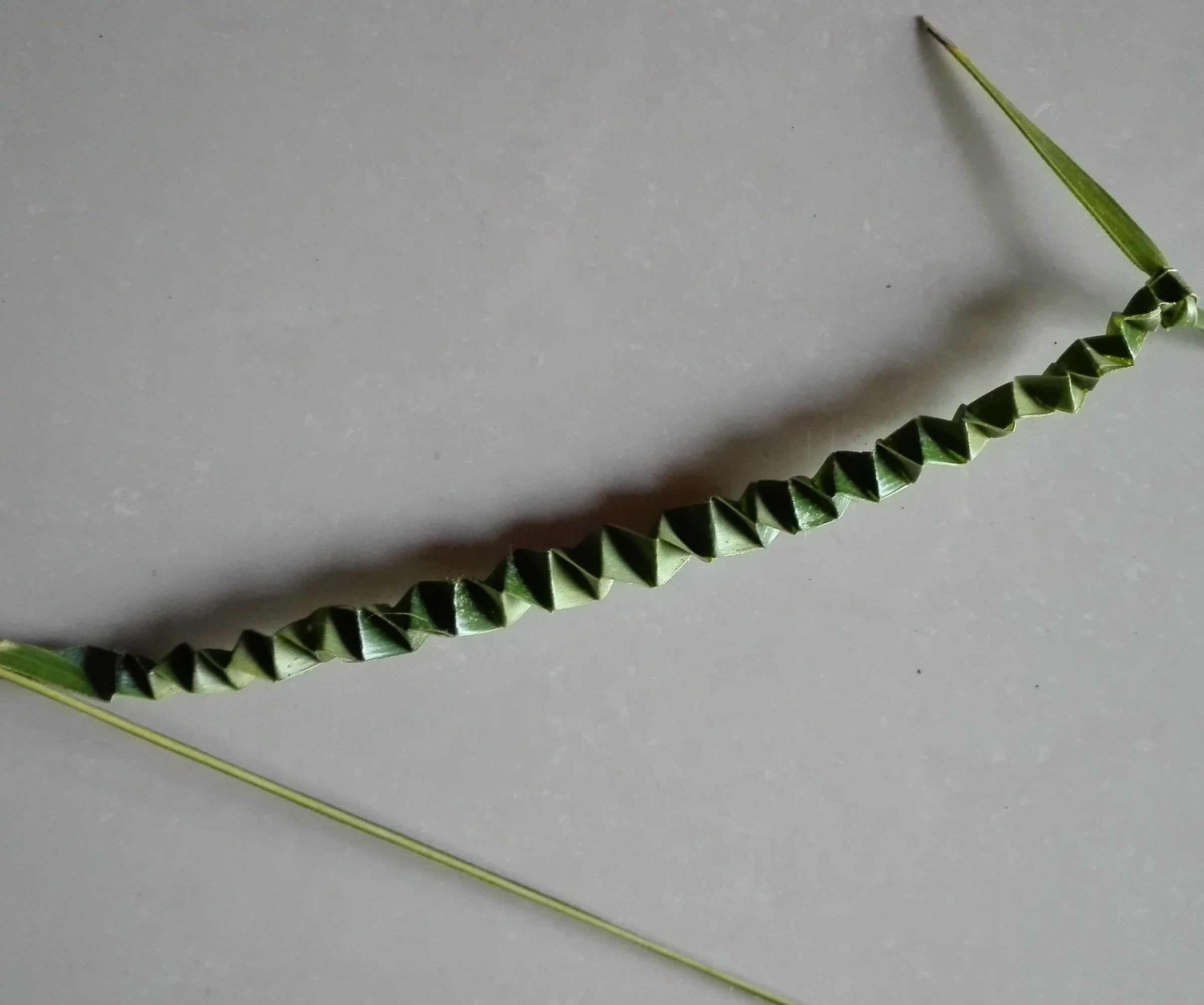 How to Make Coconut Cobra