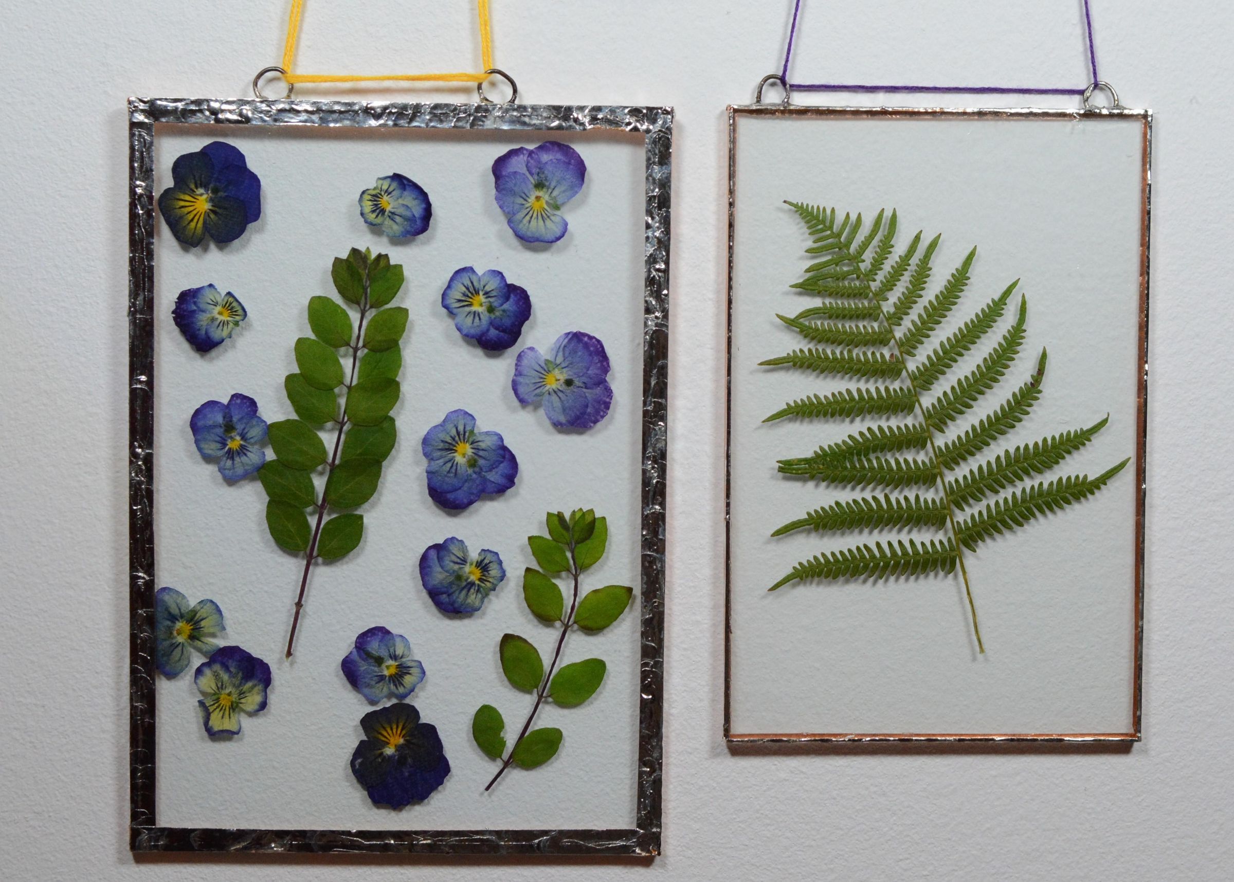 Pressed Flowers Wall Art 5 Steps (with Pictures) Instructables