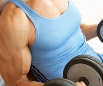 NEED TO BUILD MUSCLE FIBER, HAVE a LOOK