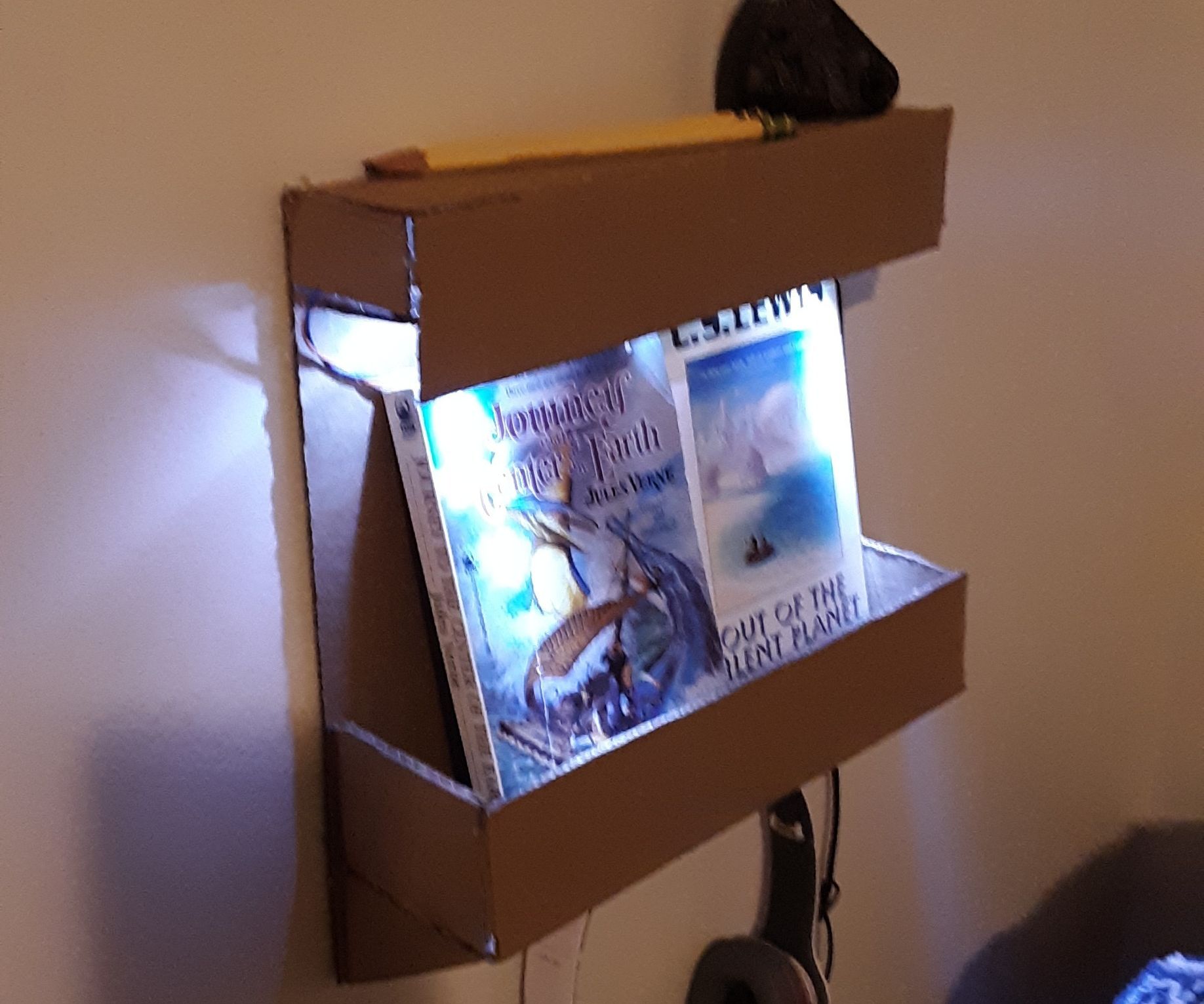 Lighted Wall Organizer/Bookshelf