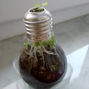 Light bulb planter