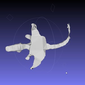 How to Clone a Dragon