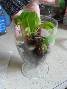 Layer 3: Add Your Plant