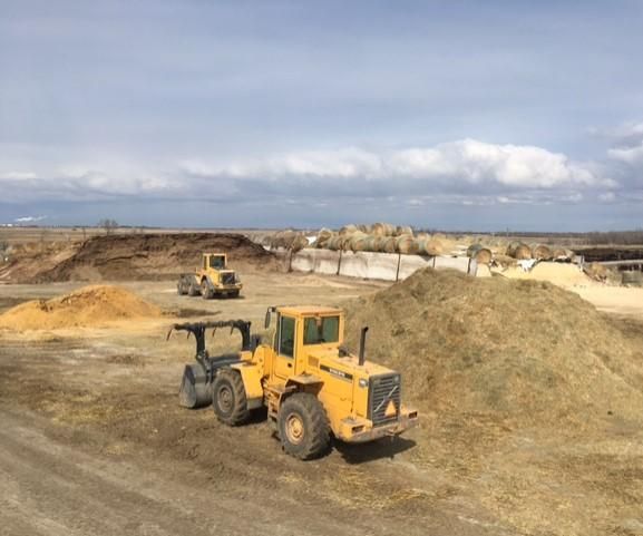 Making a Cow Feed Ration